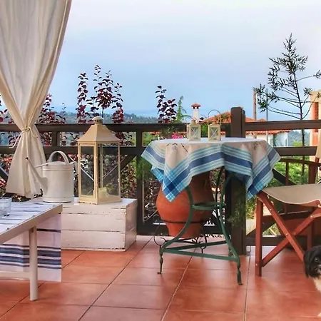 - Ta Petrina - Traditional Stone-Built Villa-3